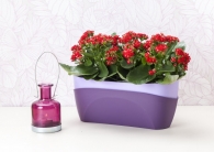 Suitable for homes & offices Suitable for homes & offices